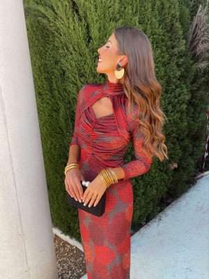 Picassent Garnet Dress