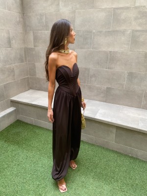 Scimmia marrone griko