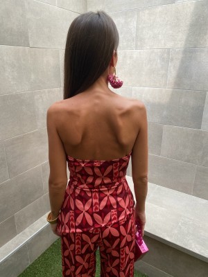 Scimmia Rosa di Zagabria