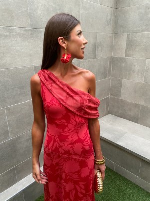 Misoula Red Dress