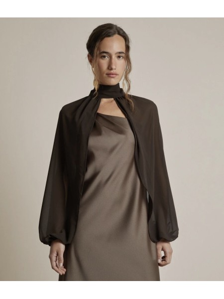 Chiffon Sleeves 2