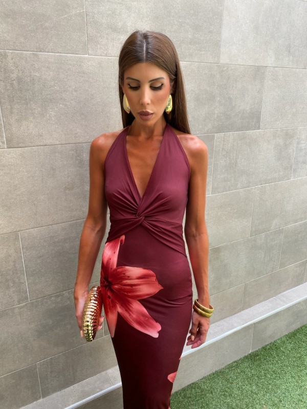 Paiva Brown Dress