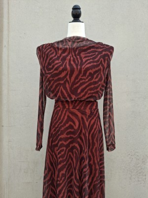 Ensemble Zebra Caldera
