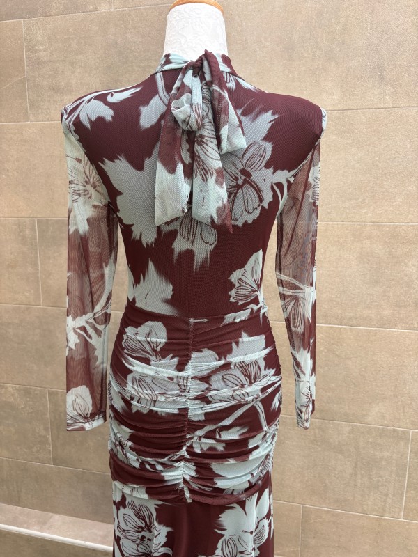 Robe Clarke Brown