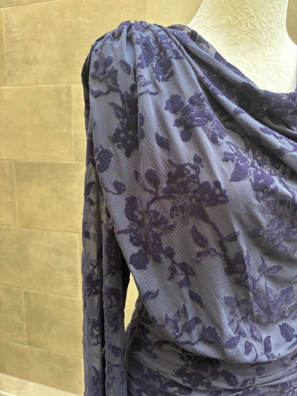 Parul Blue Dress